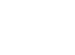 INFLUENCER PRO